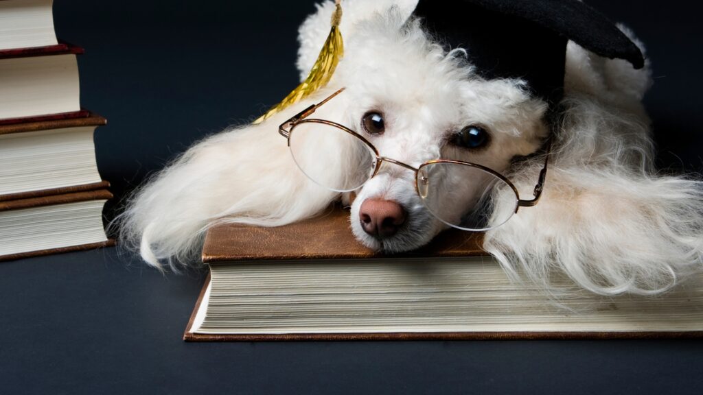 One To One Marketing Meaning